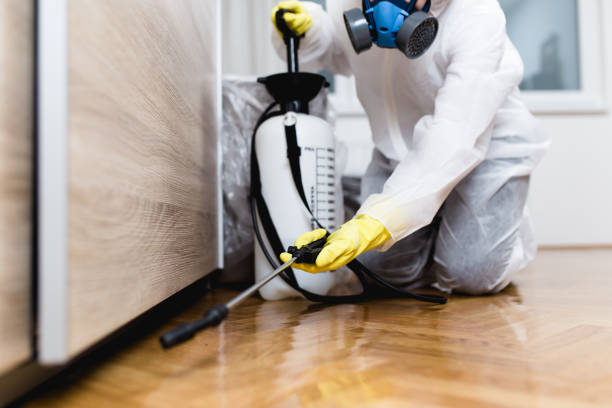 Best Mosquito Control Services  in Hamlin, WV
