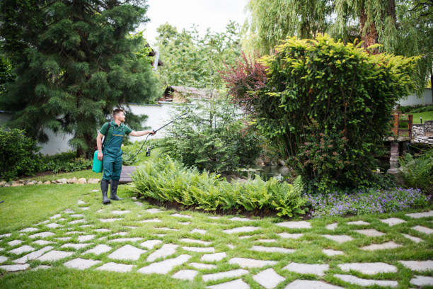 Best Commercial Pest Control Services  in Hamlin, WV