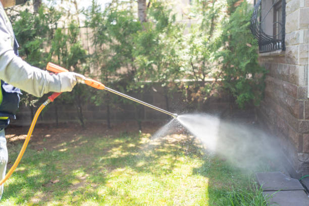 Best Bird Control  in Hamlin, WV