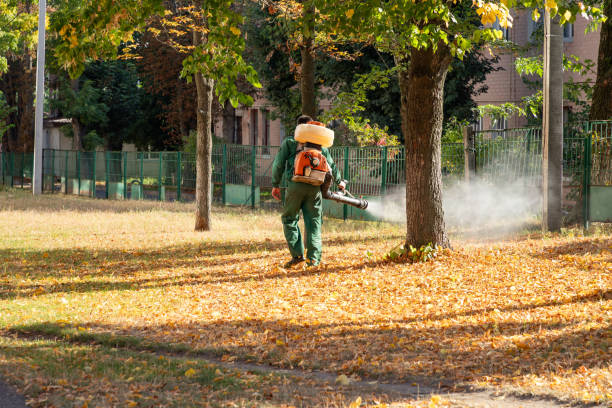 Reliable Hamlin, WV Pest Control Solutions