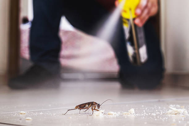 Best Best Pest Control Companies  in Hamlin, WV