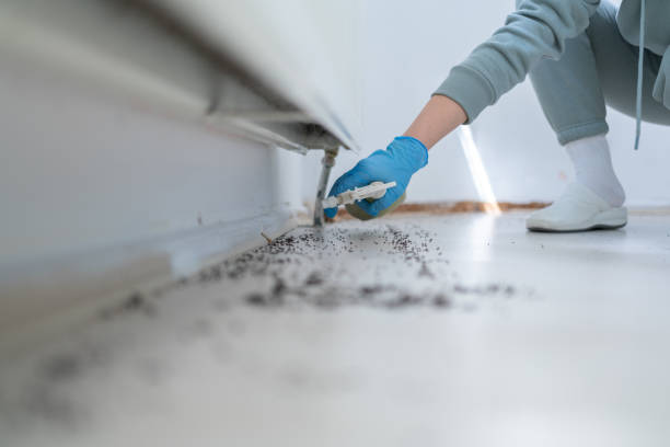 Best Pest Control for Restaurants  in Hamlin, WV